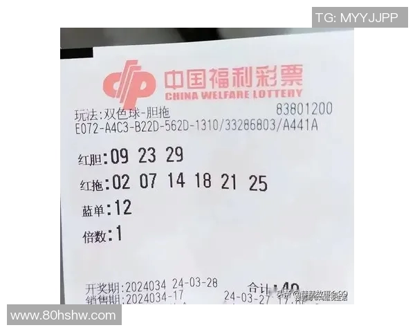 双色球胆拖计算器使用指南与技巧分享助你轻松选号赢取大奖